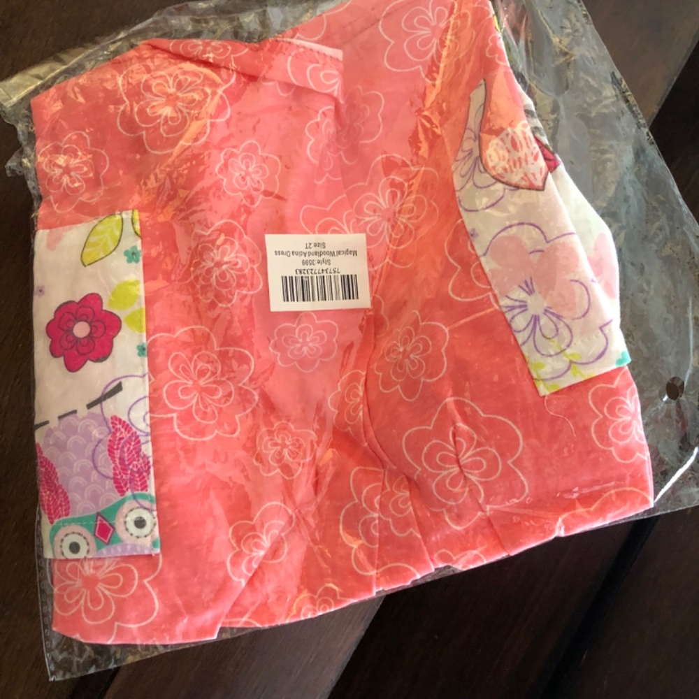 NWT gift! Jelly the Pug dress little girls size 2 - Picture 2 of 7
